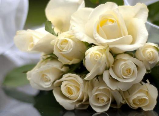 Zašto sanjati o bijelim ružama?