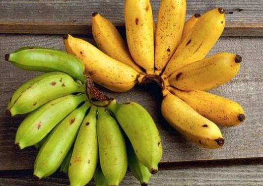 Banana je bobica ili voće?